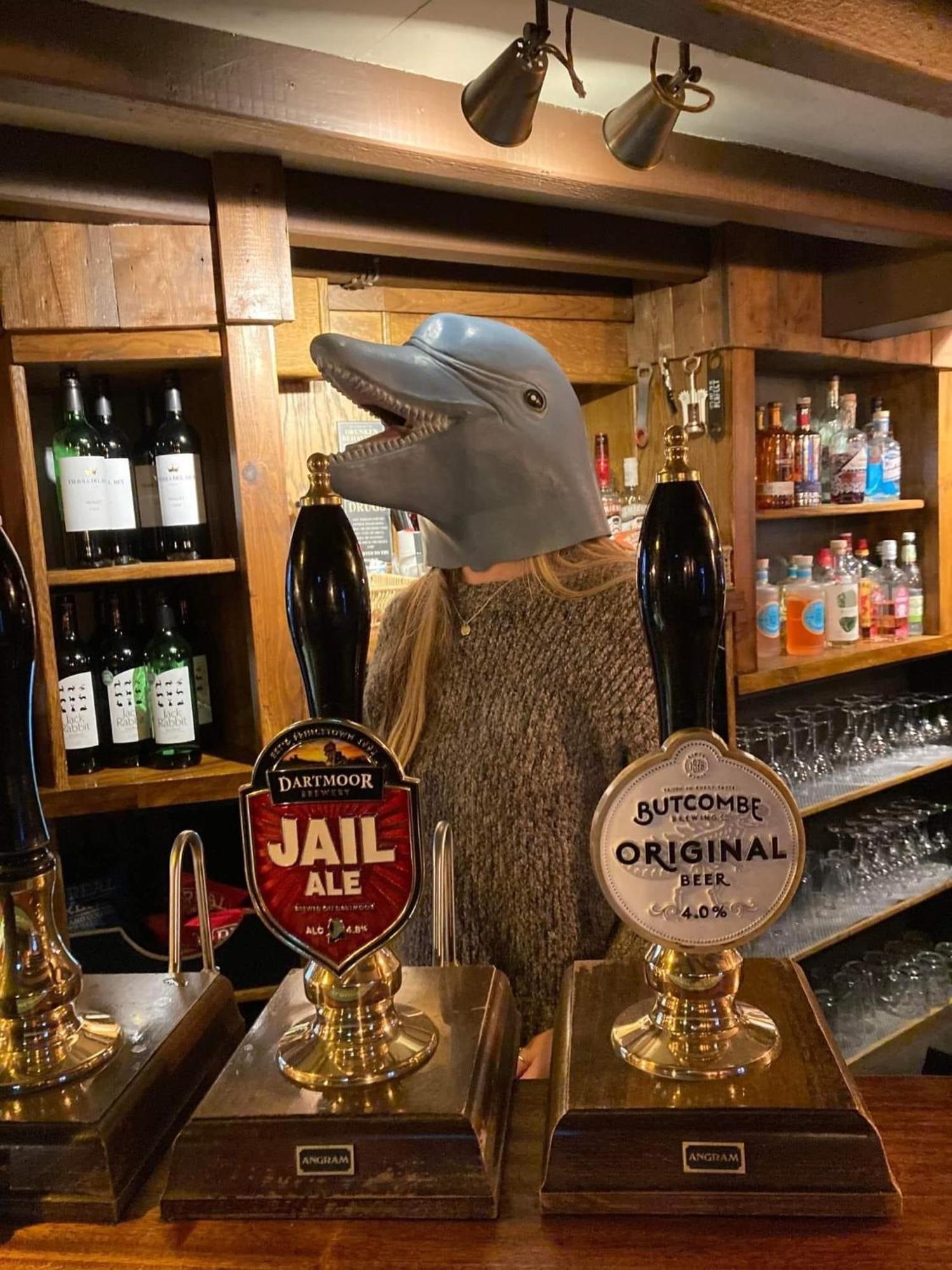 The Dolphin Inn Kingsbridge  Kamer foto